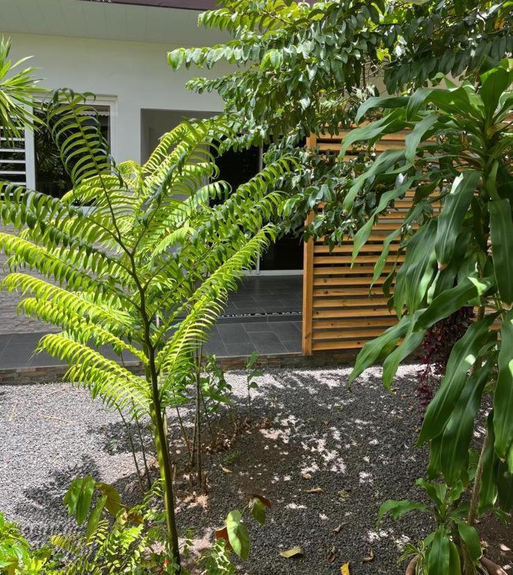 Pare Lodge Tahiti Pirae Екстер'єр фото