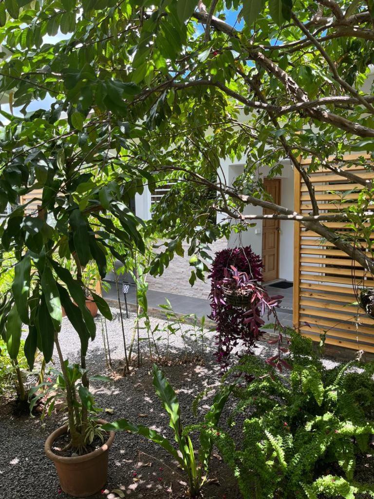 Pare Lodge Tahiti Pirae Екстер'єр фото